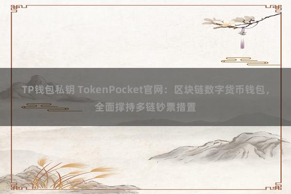 TP钱包私钥 TokenPocket官网：区块链数字货币钱包，全面撑持多链钞票措置